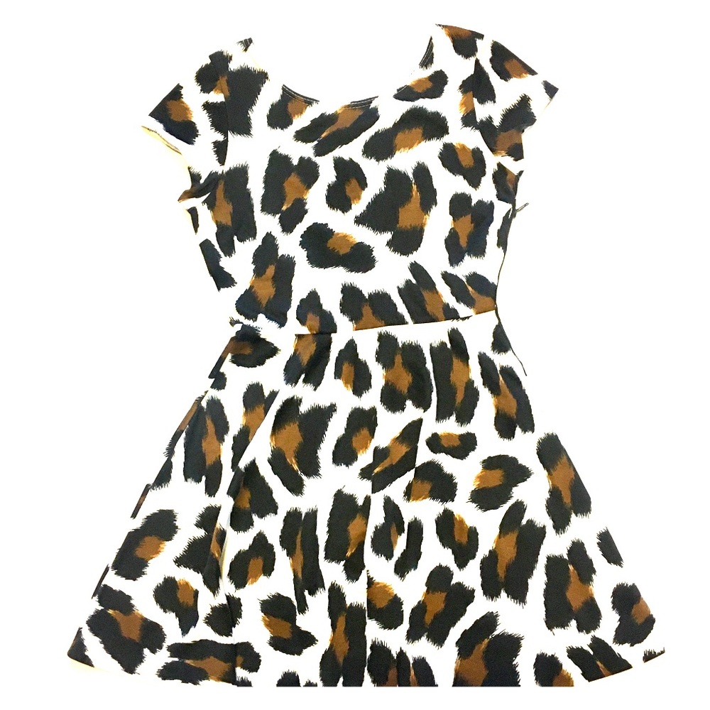 Aqua Leopard Fit & Flare Skater Mini Dress